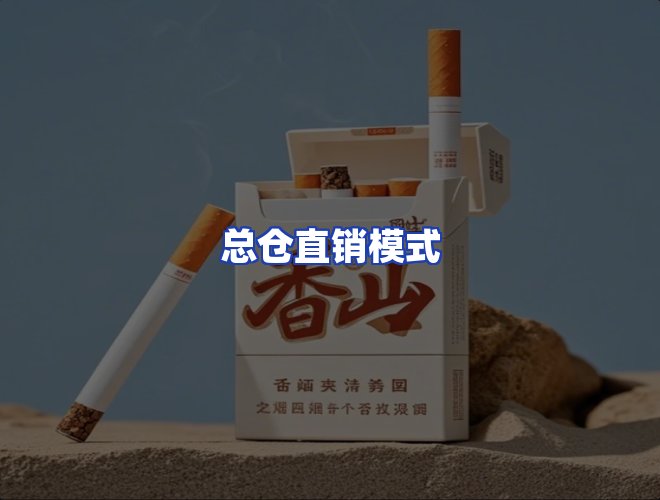 专业团队